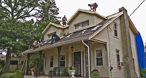 Professional Roofing Contractor in Mccleary, WA